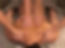 2735C570-93C6-4522-B240-A84AF3124489_4_5005_c